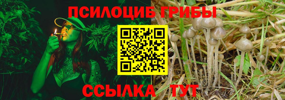 Псилоцибиновые грибы мицелий  Вход с VPN  Краснодар 